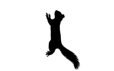 Black silhouette of a squirrel jumping up isolated on white background