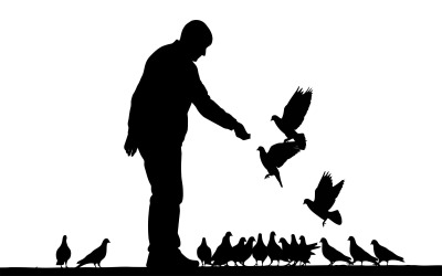 Man feeding pigeons in silhouette isolated on white background