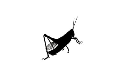 Detailed illustration of a black cricket with raised wings and isolated on white background