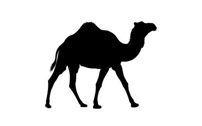 Minimalist black camel silhouette standing in profile view isolated on white background