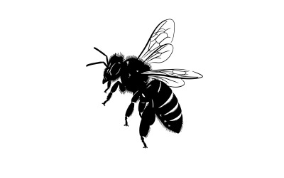 Black silhouette of a flying bee in profile isolated on white background
