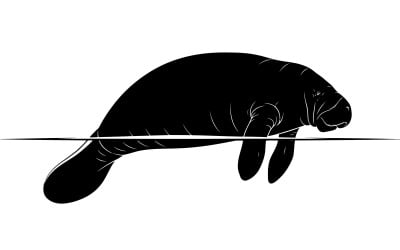 Black silhouette of a manatee swimming near water surface in isolated on white background