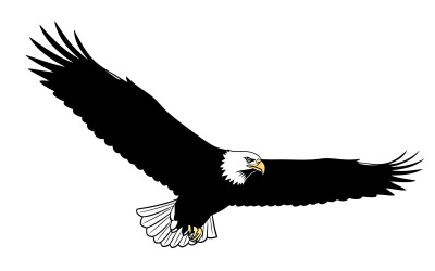 Silhouette di aquila calva in volo isolata su sfondo bianco