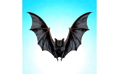 Black Bat Flight With Detailed Wing Structure (Ai Illustration Image + Vector Line Art)