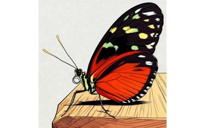 Close Up Butterfly (Ai Illustration Image + Vector Line Art)