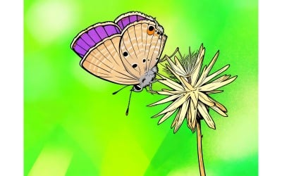Close Up Butterfly Purple Flower (Ai Illustration Image + Vector Line Art)