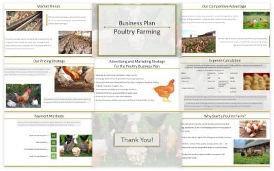 Modelo de PPT multifuncional para granja avícola