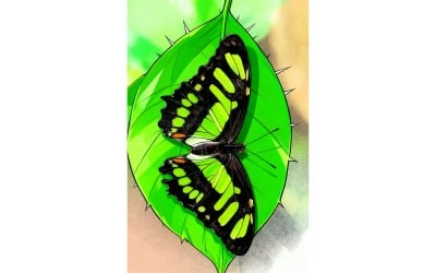 Stelene Butterfly With Black Green Wings Sitting Leafe (Ai Illustration Image + Vector Line Art)
