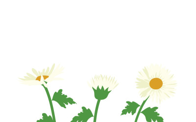 Illustration vectorielle de marguerites dessinées à la main, plante sauvage