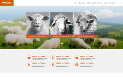 Modello di sito Web di allevamento di pecore