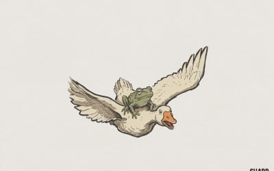 Frog Riding Duck PNG, Funny Animal Artwork, Quirky Printable Shirt Design, Unique Duck Frog Digital