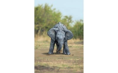 Elephant Standing Field 1 (Ai Illustration Image + Vector Line Art)