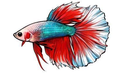 Beautiful Colorful Siamese Betta Fish (Ai Illustration Image + Vector Line Art)