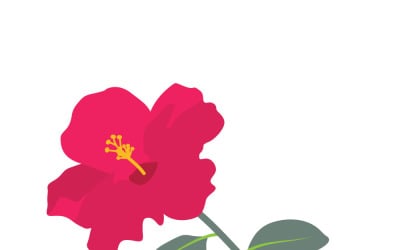 Fiore di ibisco rosso vivo isolato su sfondo bianco