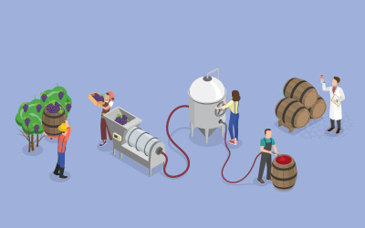Wine production process ,  winery operations