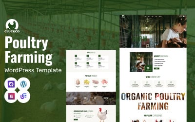CluckCo - WooCommerce Elementor тема для бізнесу з органічного птахівництва, виробництва яєць та сільського господарства