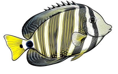 Coral Reef Fish With Beautiful Vibrant Color (Ai Illustration Image + Vector Line Art)