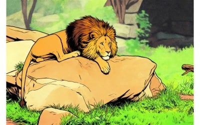 Beautiful Endangered Lion Captivity African Wildlife Bars Illustration