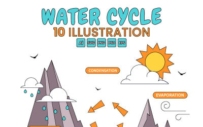10 Water Cycle Illustration