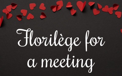 Florilege for a meeting - Afrobeat Dance World
