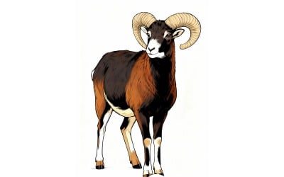 Mouflon Snow Comic Clean Illustration