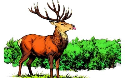 Illustrazione di un cervo in piedi sul campo