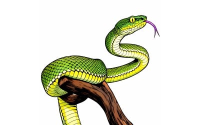 Beautiful Green Pit Viper Illustration