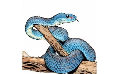 Blue Viper Snake Branch Viper Snake Blue Insularis Illustration