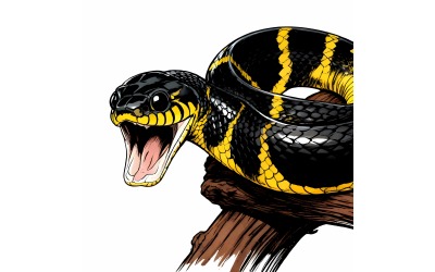 Boiga Snake Dendrophila Yellow Ringed Illustration