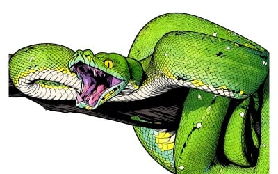 Pitone arboricolo verde - Ramo pronto all&amp;#39;attacco - Illustrazione del serpente Chondropython Viridis