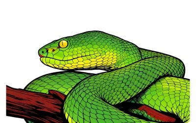 Trimisurus Albolabris Green Snake Closeup Branch Animal Closeup Illustration