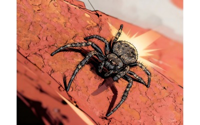 Close Up Spider 1 Illustration