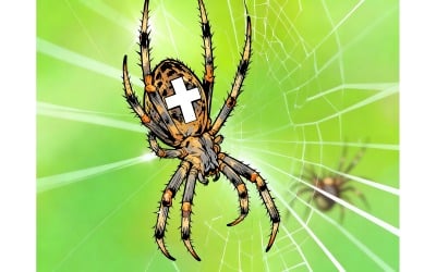 Closeup Shot Spider Spider Web Illustration