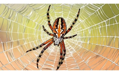 Macro Shot Spider Its Web Illustration