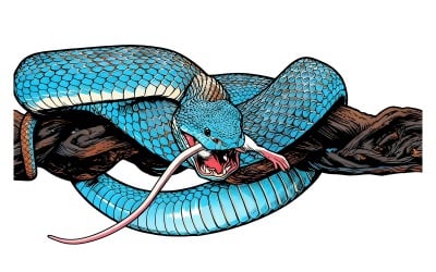 Viper Snake Ready Attack Blue Insularis Snake Eating White Mouse Animal Closeup Illustration