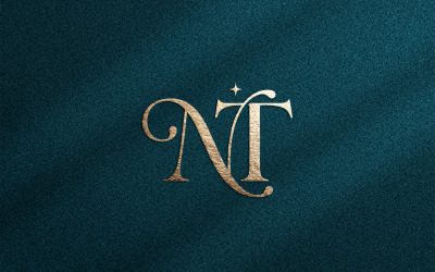 Elegant NT Luxury Monogram Logo Design