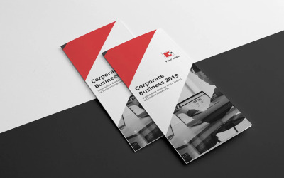 Professional Trifold Corporate Brochure