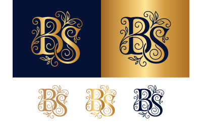Monogram bs elegant script for sophisticated branding needs.