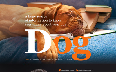 Modèle Muse pour sites de chiens #57622