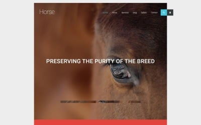 Horse Joomla Template