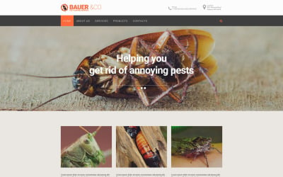 free pest control website templates download