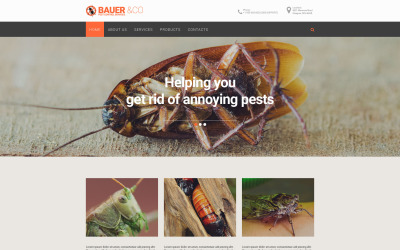 Responsive Website-Vorlage zur Schädlingsbekämpfung