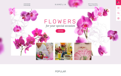 Szablon PrestaShop Kamelia #57810
