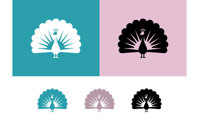 Peacock logo design white black pink teal.