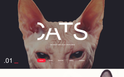 Macska érzékeny weboldal sablon