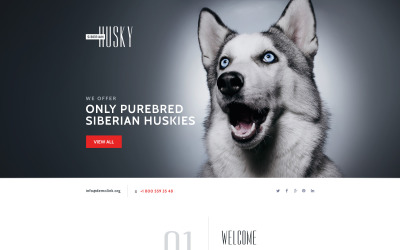 Reszponzív Canine Nyítóoldal sablon 58457