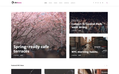 Responsive BitNews - Blog Magazine & News Portal Wordpress #58664