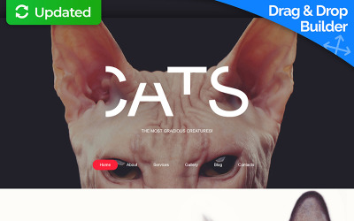 Cat Moto CMS 3 Template