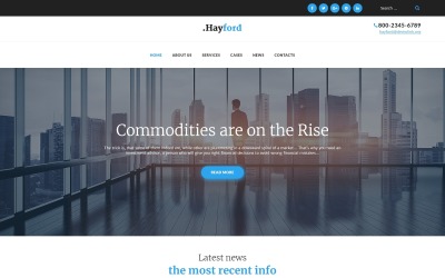 Hayford - Befektetési tanácsadási szolgáltatások érzékeny WordPress téma
