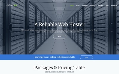 Uptime99 - Tema WordPress di hosting Web